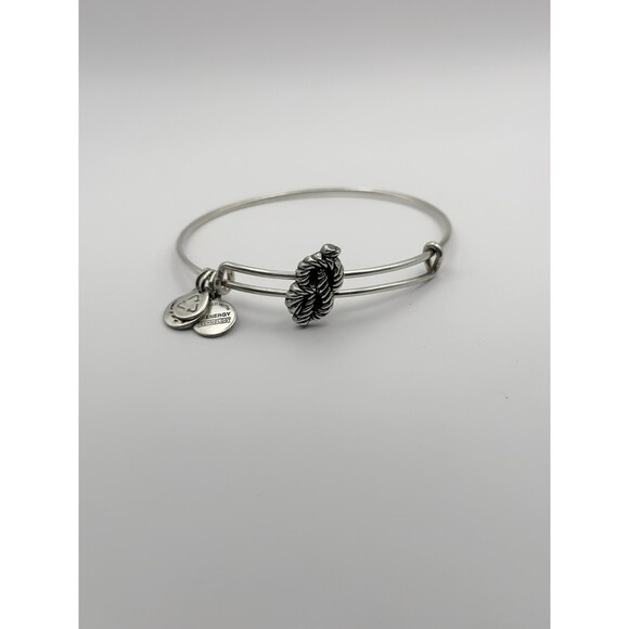 Alex and Ani Sailor's Knot Slider Charm Bangle in Rafaelian Silver Finish - Picture 1 of 2